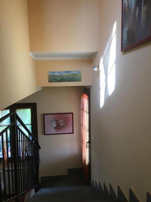 Il Magico - Immerso Nella Natura - Appartement *